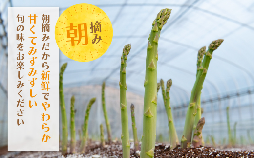 清流・自然栽培 アスパラガス(春芽) 1kg(M) Mサイズ