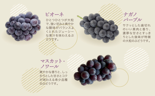 季節のぶどう3種セット 約1.5kg ぶどう 葡萄 福岡県 福智町産 ブランド 果実 送料無料 《 予約受付 》【2026年8月～2026年10月発送予定】