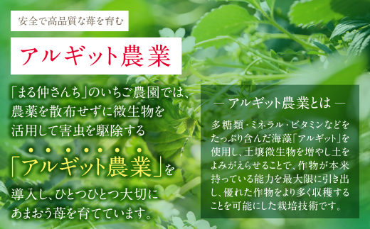 アルギット農業「あまおう苺」(4パック)