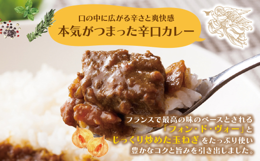 みろくのカレー10食（中辛5食・辛口5食）