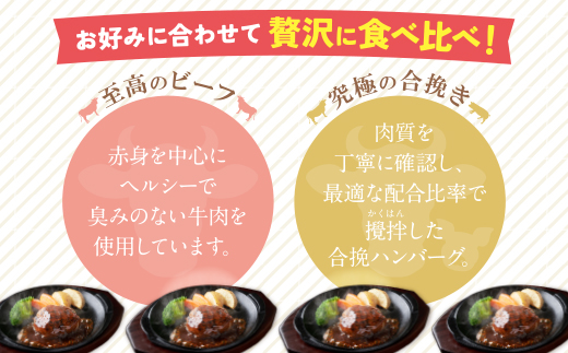 【累計460万個突破！】どっちの ハンバーグ !?デミグラスソース150g×6個セット（ビーフ・合挽 各3個） ハンバーグ 牛肉 豚肉 洋食 ハンバーグ はんばーぐ お試し 冷凍 人気 ハンバーグ デミソース 手軽 冷凍 おかず 肉 おすすめ ハンバーグ お得 ハンバーグステーキ 味付ハンバーグ 【通常発送】6個