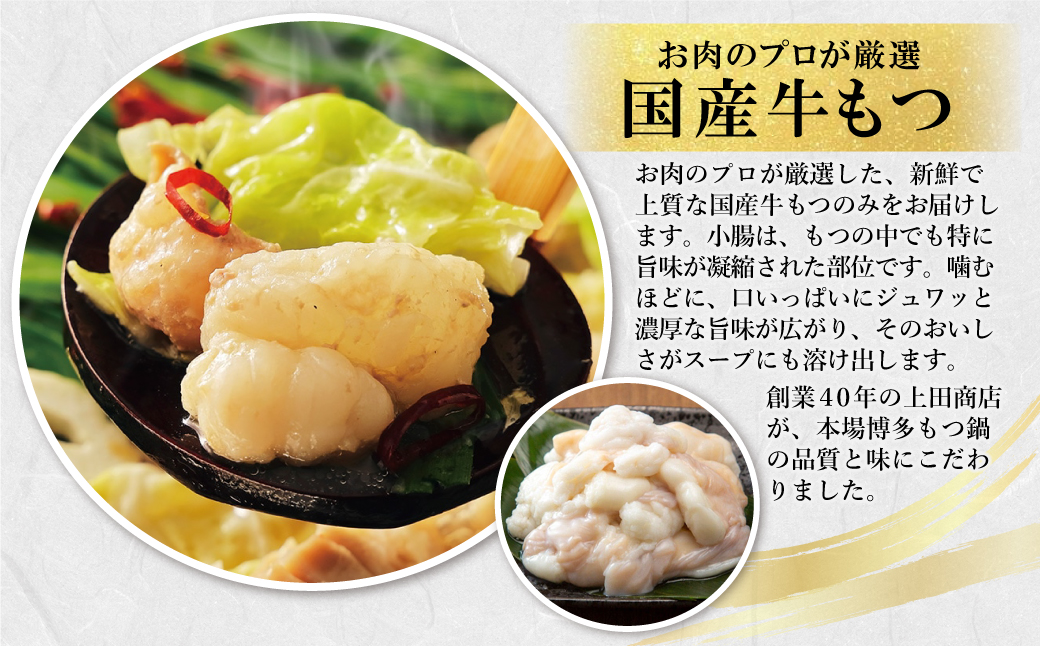 上田商店 博多もつ鍋セット(白味噌味 2人前) 2人前（白味噌味）