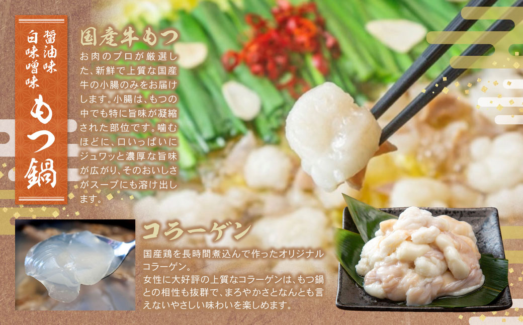 博多名物よりどり鍋セット(水炊き2～3人前・もつ鍋 醤油・白味噌各2人前)