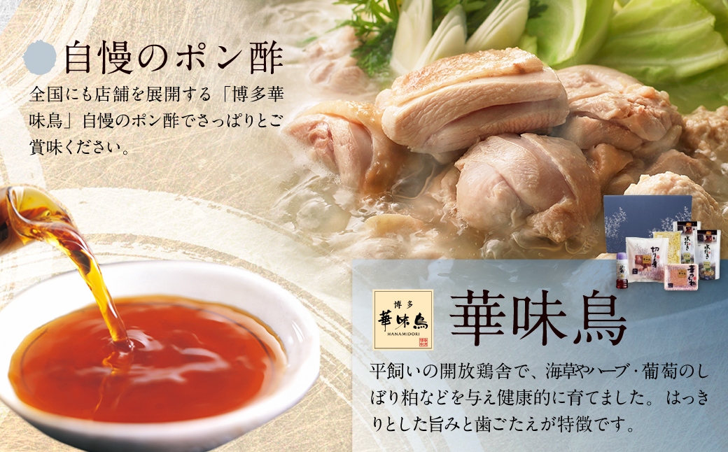 博多の歴史『水炊き』食べ比べ2種セット【2～3人前】