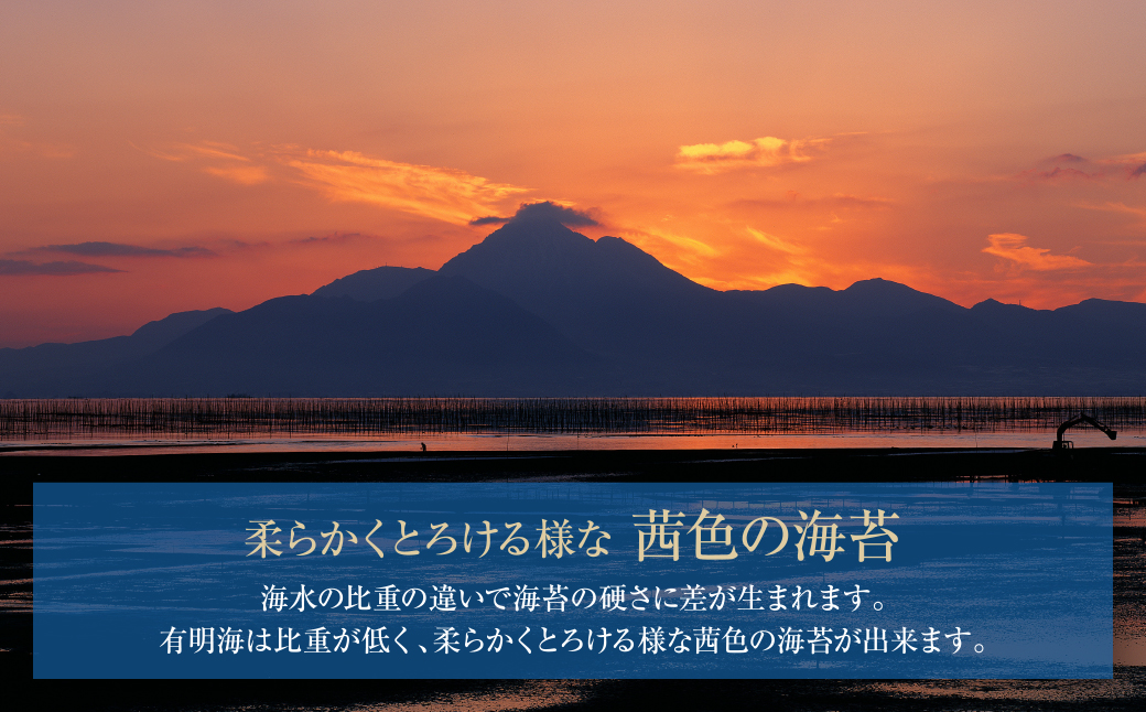 【訳あり】福岡有明のり 焼き海苔 全形50枚