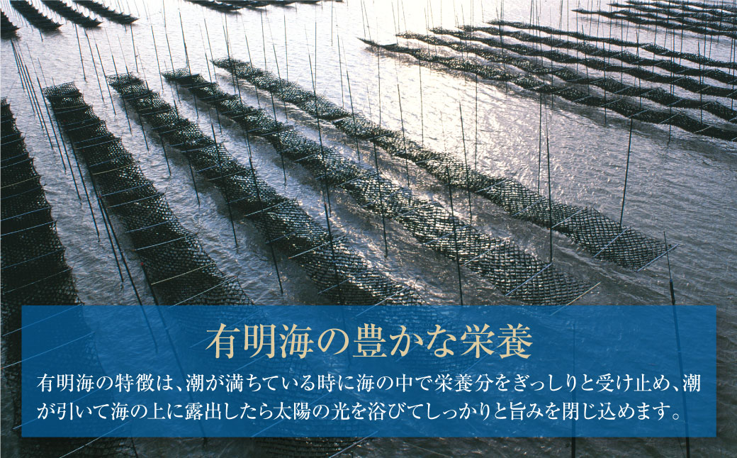 有明海産 焼き海苔 ボトル4本（10切100枚×4本 計400枚)定期便(毎月×3回)