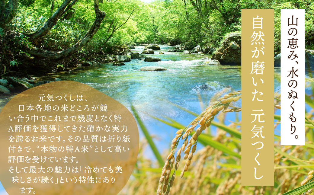福智町産ブランド米(元気つくし 5kg) お米 米 こめ コメ ブランド米 白米 人気 おすすめ 元気つくし げんきつくし 福岡県産米 食料品 日常 福岡県
