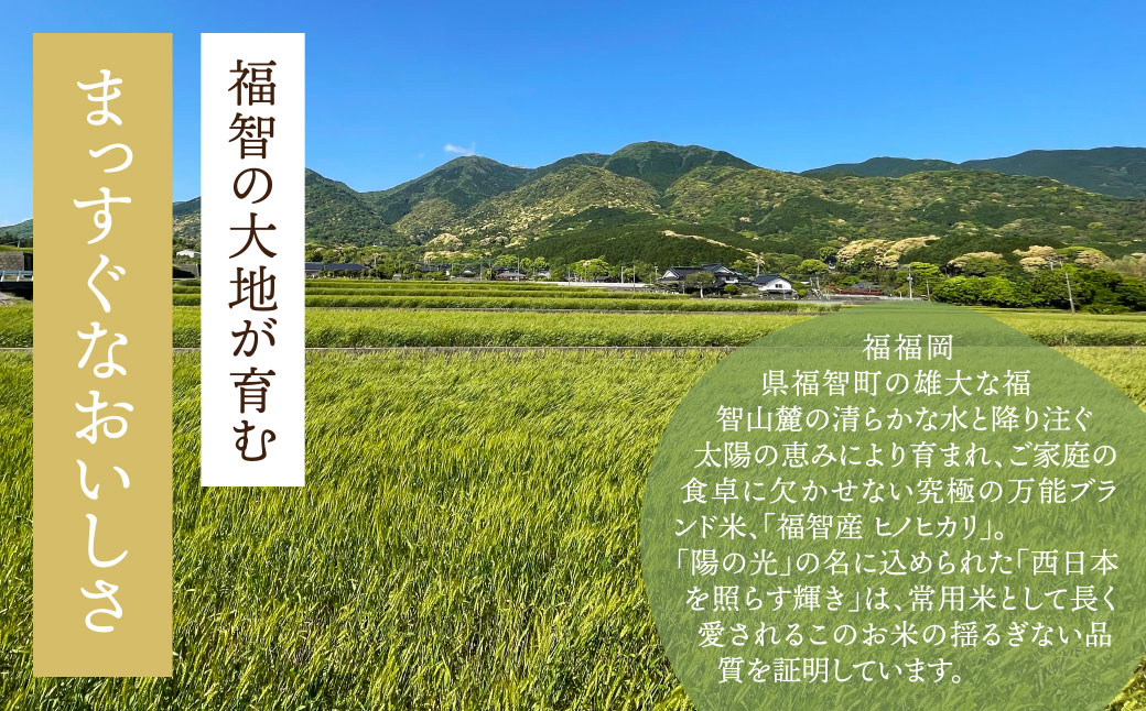 福智町産ブランド米(ヒノヒカリ 5kg)  お米 米 こめ コメ ブランド米 白米 人気 おすすめ ヒノヒカリ ひのひかり 福岡県産米 食料品 日常 福岡県 