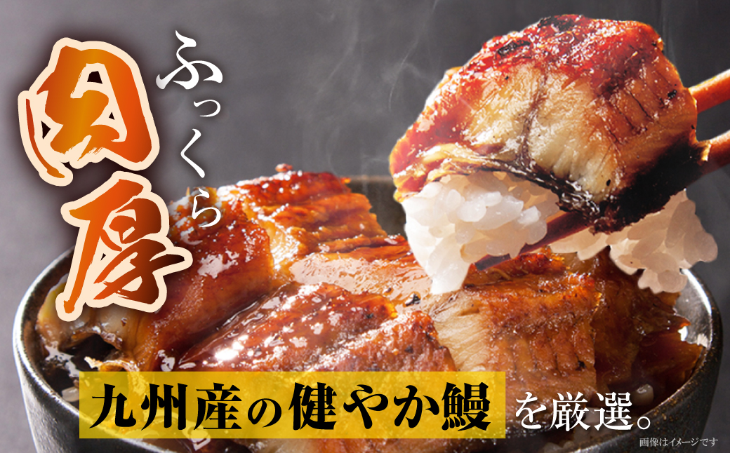 【父の日】健やか鰻 国産うなぎ蒲焼（無頭）4尾（計560g以上） 【父の日発送】4尾 :21,000円