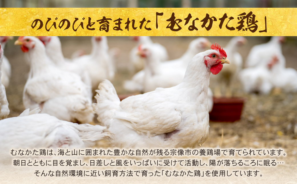 むなかた鶏使用　水炊き2人前