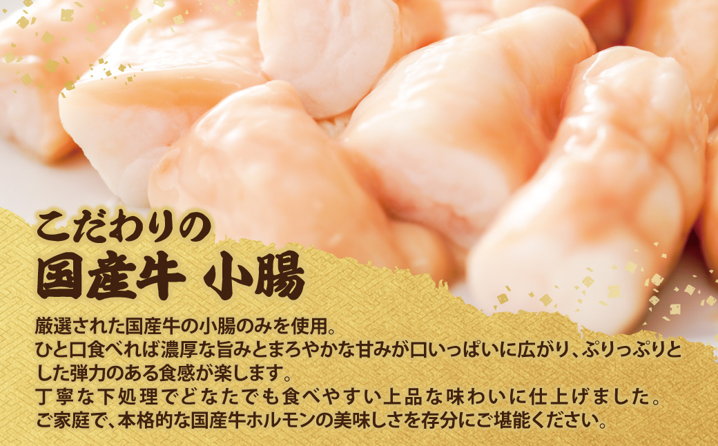 平壌屋 元祖味噌もつ鍋セット(野菜有) 追加たれ付き 野菜有り