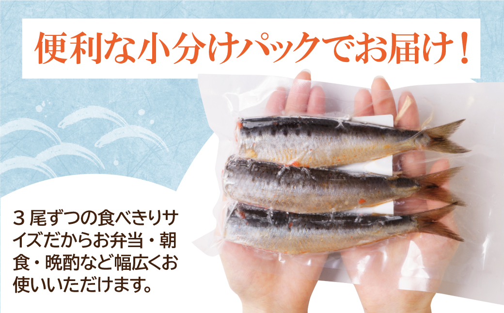 いわし明太 12尾 12尾：16,500円