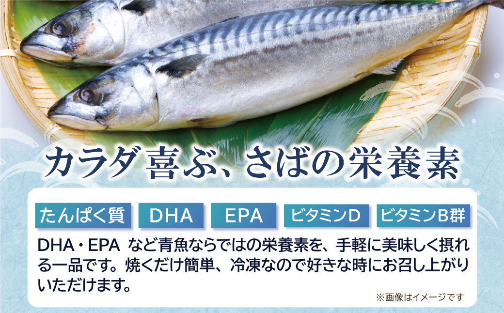 さば明太 9尾 9尾：22,500円