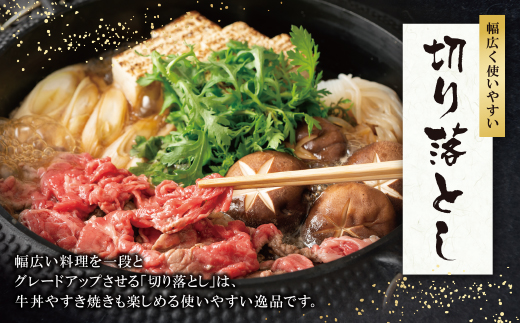 博多和牛 切り落とし500g