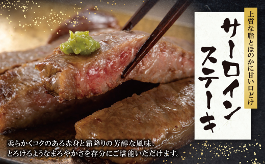博多和牛 サーロインステーキ用740g