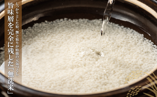 無洗米 福岡ブランド米３品種セット(各2kg)