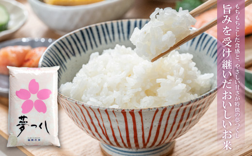 研ぐお米 福岡ブランド米3品種セット(各2kg) 精米 米 コメ 2kg×3 小袋 小分け 研ぐお米 6kg 箱入り 福岡 夢つくし ひのひかり 元気つくし 元気づくし お裾分け セット 手軽 リピート 日時指定 ギフト お中元 お歳暮	