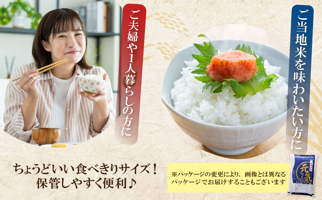 【新米】令和7年産 研ぐお米 元気つくし2kg