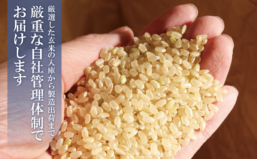 無洗米 福岡県産・元気つくし10kg定期便(隔月・年6回)