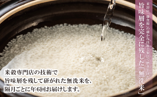 無洗米 福岡県産・夢つくし10kg定期便(毎月・年12回)