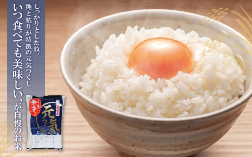 無洗米 福岡県産3種セット6kg定期便(毎月・年12回)