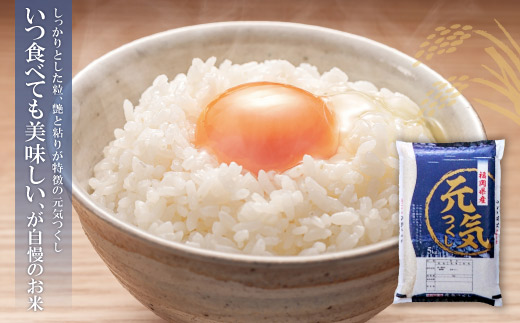 研ぐお米 福岡県産米3品種セット定期便(毎月・年12回)