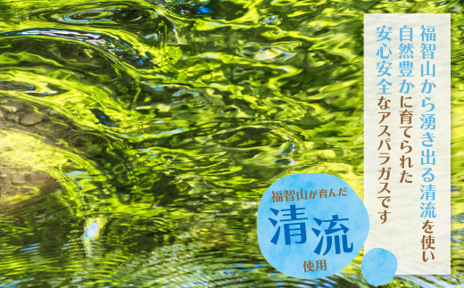 清流・自然栽培 アスパラガス(春芽) 1kg(LL) LLサイズ