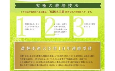 八女星野 玉露ティーバッグ(50P)