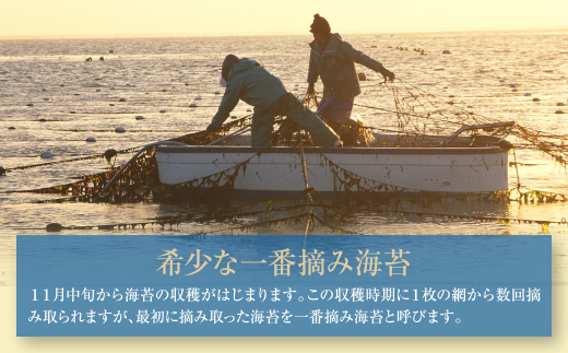 福岡有明のり一番摘み 大丸ボトル味海苔 10切80枚 4本セット