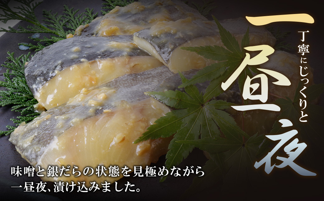 銀ダラ 西京漬（生）8切（110g×8） 生タイプ・8切れ