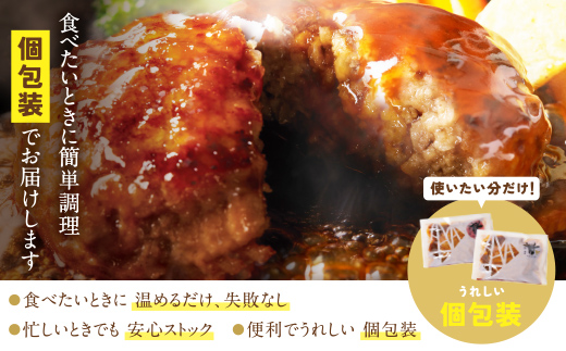 【累計460万個突破！】どっちの ハンバーグ !?デミグラスソース150g×6個セット（ビーフ・合挽 各3個） ハンバーグ 牛肉 豚肉 洋食 ハンバーグ はんばーぐ お試し 冷凍 人気 ハンバーグ デミソース 手軽 冷凍 おかず 肉 おすすめ ハンバーグ お得 ハンバーグステーキ 味付ハンバーグ 【通常発送】6個