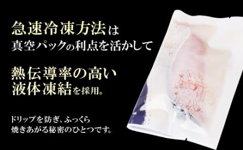 訳あり　博多バラエティー漬け魚詰合せ　15切	 通常発送