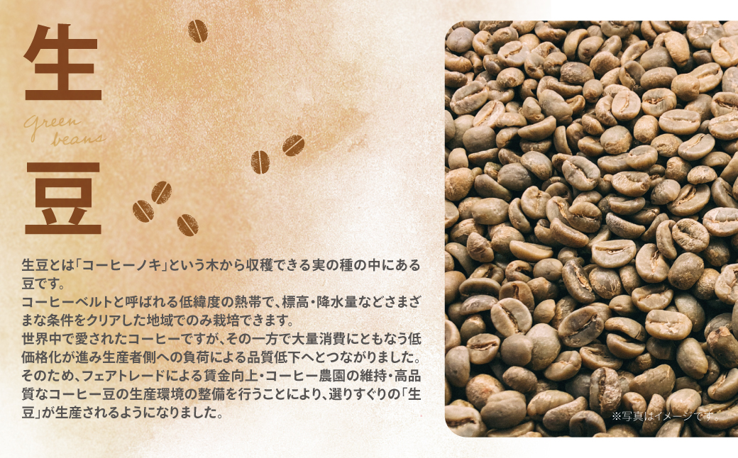 ミチフク珈琲(ブレンド)