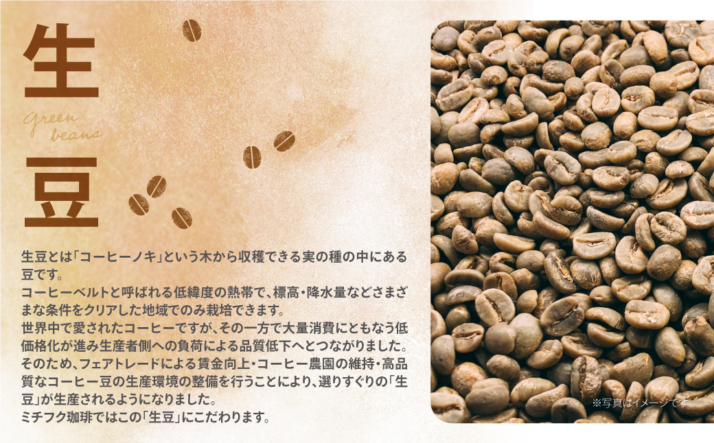 福智山麓キセキの珈琲 ギフトボックス(中)