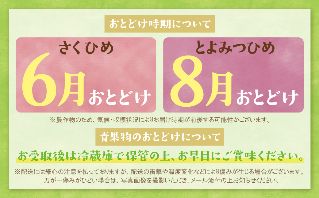 ★先行予約受付開始★ ふくふく果実定期便（隔月・年2回） 2026年発送 いちじく イチジク とよみつひめ もも 桃 モモ さくひめ フルーツ 果物 定期便 福岡県産 福智町産 送料無料