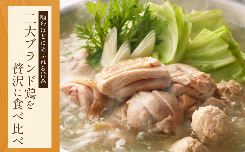 博多の歴史『水炊き』食べ比べ2種セット【2～3人前】