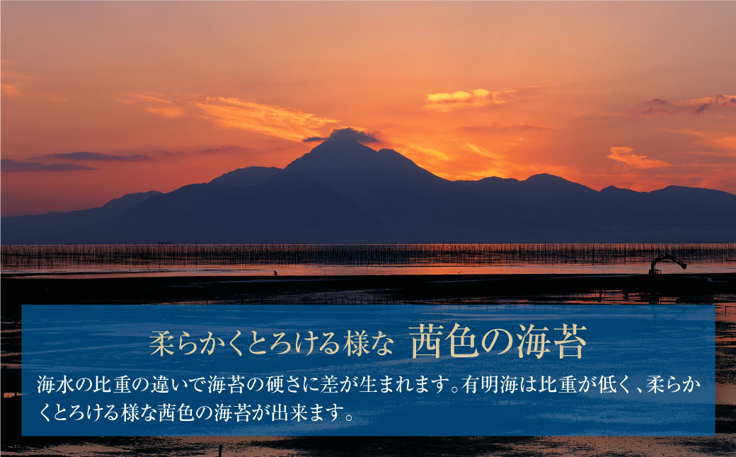 有明海産 焼き海苔 ボトル4本（10切100枚×4本 計400枚)定期便(毎月×3回)