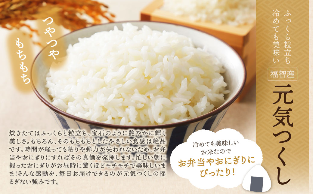 福智町産ブランド米(元気つくし 5kg) お米 米 こめ コメ ブランド米 白米 人気 おすすめ 元気つくし げんきつくし 福岡県産米 食料品 日常 福岡県