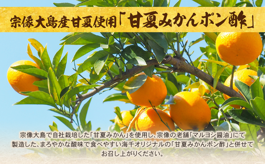 むなかた鶏使用　水炊き2人前