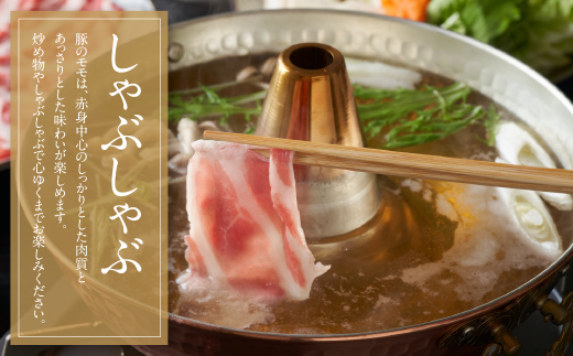 乳豚スライス3種セット(ロース・バラ・モモ各500g)