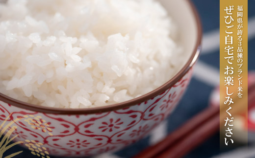 研ぐお米 福岡ブランド米3品種セット(各2kg) 精米 米 コメ 2kg×3 小袋 小分け 研ぐお米 6kg 箱入り 福岡 夢つくし ひのひかり 元気つくし 元気づくし お裾分け セット 手軽 リピート 日時指定 ギフト お中元 お歳暮	