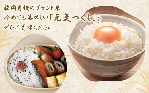【新米】令和7年産 無洗米 福岡県産・元気つくし10kg  無洗米 むせんまい 米 コメ 10kg キャンプ 研がなくていい  5kg×2 TWR 10キロ 箱入り 手間なし カンタン 簡単 福岡 元気つくし 元気づくし 手軽 リピート 日時指定 ギフト お中元 お歳暮 手にやさしい 時短 コスパ 福岡県限定銘柄 人気上昇中	