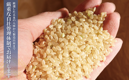 研ぐお米 福岡県産・元気つくし10kg定期便(隔月・年6回)