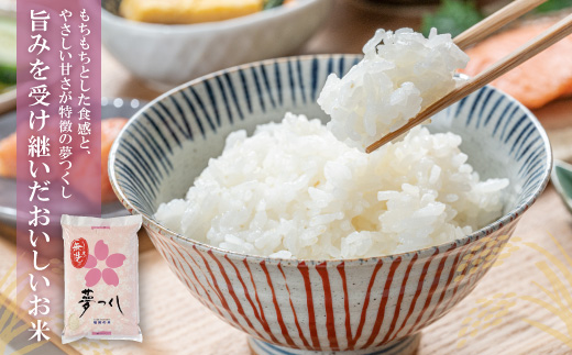 無洗米 福岡県産3種セット6kg定期便(毎月・年12回)