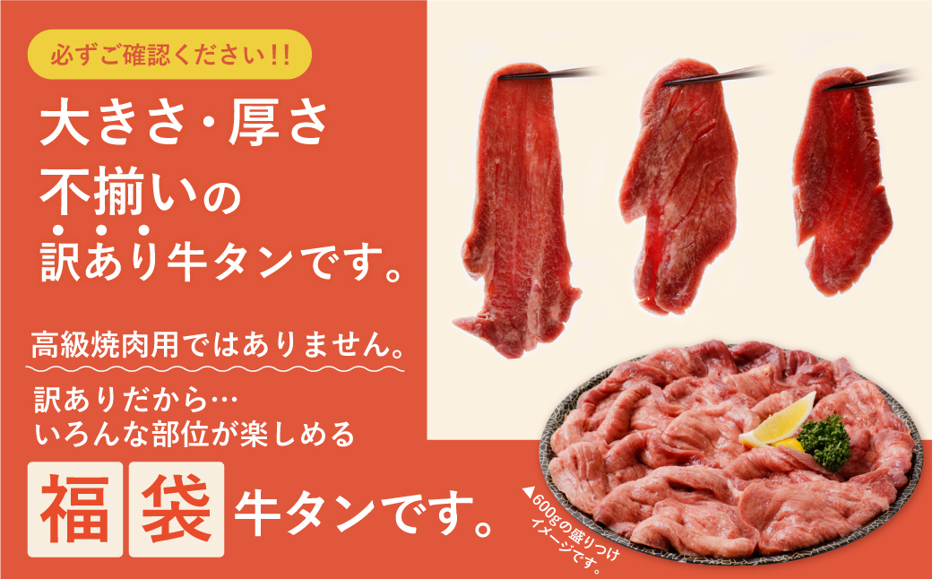 【7営業日以内発送】【訳あり】厚切り 牛タンステーキ 塩レモン（900g） 【スピード発送・900ｇ】 寄付金額：17,500円