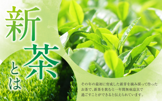  【母の日】新茶 八女星野茶 120g×2本