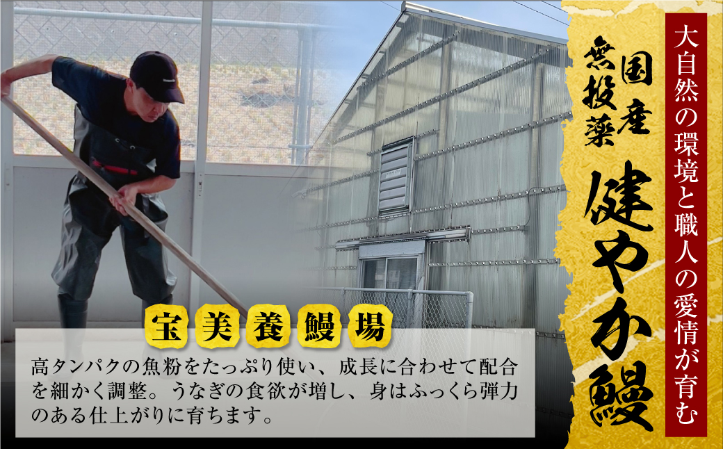 【父の日】健やか鰻 国産うなぎ蒲焼（無頭）4尾（計560g以上） 【父の日発送】4尾 :21,000円