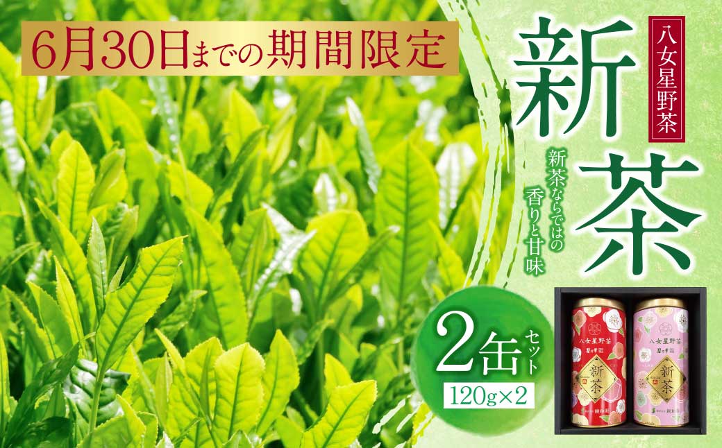  新茶 八女星野茶 120g×2本