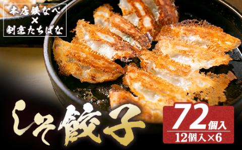 本店鉄なべ×割烹たちばな しそ餃子72個