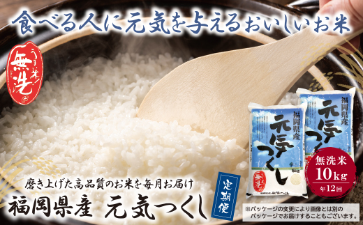 無洗米 福岡県産・元気つくし10kg定期便(毎月・年12回)
